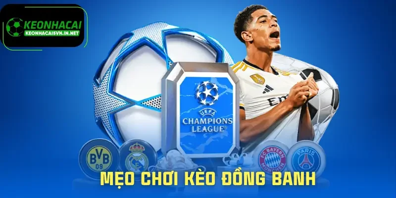 Cách Đánh Kèo Đồng Banh Sao Cho Không Rơi Vào Bẫy Odds 3 keo-dong-banh-meo-choi
