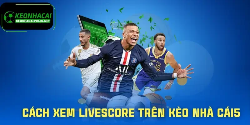 Livescore | Theo Dõi Tỷ Số Bóng Đá Theo Thời Gian Thực 3 livescore-cach-xem